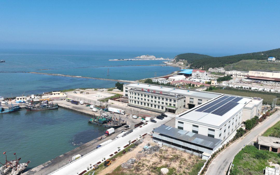 z6com������-(�й�)��˾�ٷ���վ